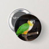 Caique-Knopf Button (Vorne & Hinten)