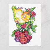 Caique mit Himbeere Postkarte (Vorderseite)