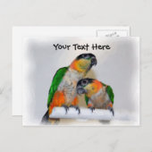 Caique-Papageien-Paar-kundengerechte Postkarte (Vorne/Hinten)