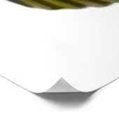 Caique Parrot Liebe, Caique Parrot Liebe, Caique . Poster (Ecke)