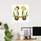 Caique Parrot Liebe, Caique Parrot Liebe, Caique . Poster (Heimbüro)