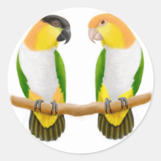 Caique Parrot Liebe Sticker (Vorderseite)