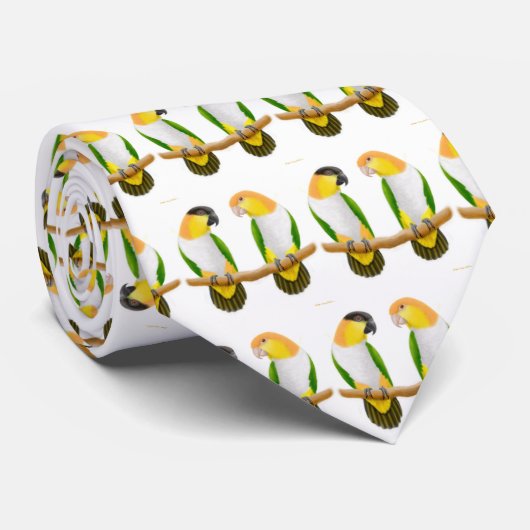 Caique plappert Krawatte nach (Gerollt)