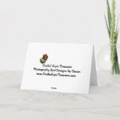 Caique plappert Weihnachtsfeiertags-Karte nach Feiertagskarte (Rückseite)