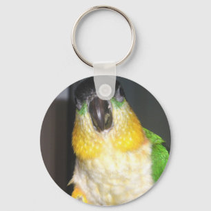 Caique Schlüsselanhänger