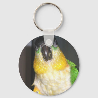 Caique Schlüsselanhänger