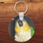 Caique Schlüsselanhänger (Vorderseite)