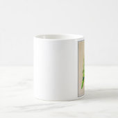 Caique schwarzköpfig kaffeetasse (Mittel)