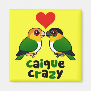 Caique verrückt magnet