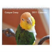 Caique-verrückter Kalender 2011 (Titelbild)