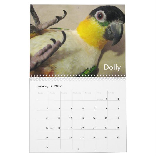 Caique-verrückter Kalender 2011 (Jan 2027)