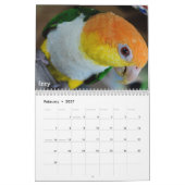 Caique-verrückter Kalender 2011 (Feb 2027)