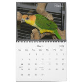 Caique-verrückter Kalender 2012 (Mär 2027)