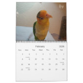 Caique-verrückter Kalender 2012 (Feb 2026)