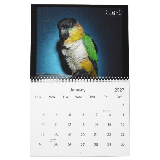 Caique-verrückter Kalender 2012 (Jan 2027)