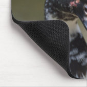 Cairina moschata domestica mousepad (Ecke)