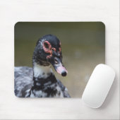 Cairina moschata domestica mousepad (Mit Mouse)
