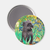 Cairn (Brindle 17) — Ire Magnet (Vorderseite/Rückseite)