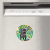 Cairn (Brindle 17) — Ire Magnet (In Situ (Geschirrspüler))