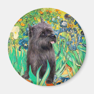 Cairn (Brindle 17) - Irissen Magnet