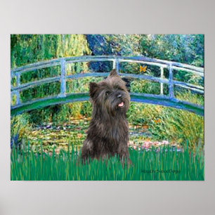 Cairn (Brindle 21) - Seerosenbrücke Poster
