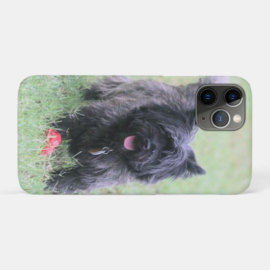 Cairn Case-Mate iPhone Hülle (Rückseite (Horizontal))