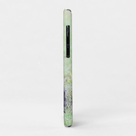 Cairn Case-Mate iPhone Hülle (Hinten/Links)