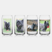 Cairn Dosenglas (Vorderseite)