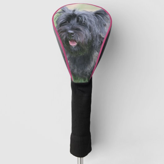 Cairn Golf Headcover (Vorderseite)