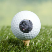 Cairn Golfball (Insitu T-Shirt)