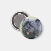 Cairn Magnet (Vorderseite/Rückseite)