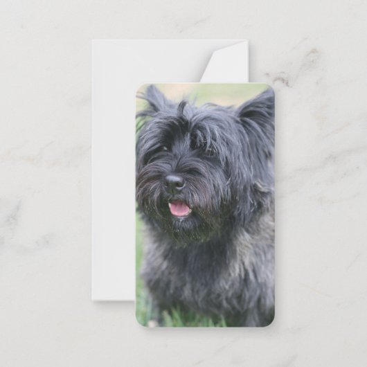 Cairn Mitteilungskarte (Vorderseite)