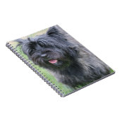 Cairn Notizblock (Rechte Seite)