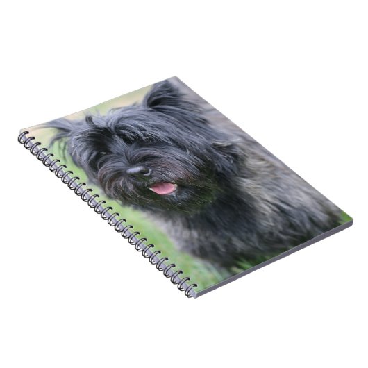 Cairn Notizblock (Rechte Seite)