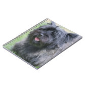 Cairn Notizblock (Linke Seite)