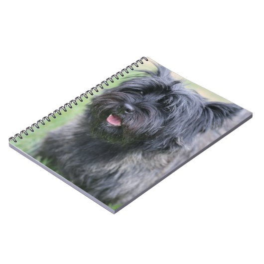 Cairn Notizblock (Linke Seite)