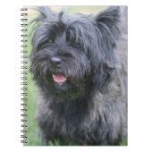 Cairn Notizblock (Vorderseite)