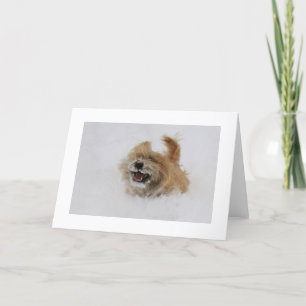 Cairn Pounce Feiertagskarte