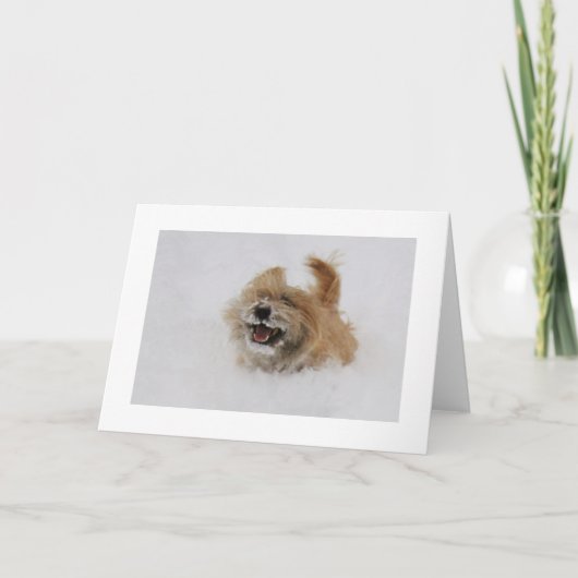 Cairn Pounce Feiertagskarte (Vorderseite)