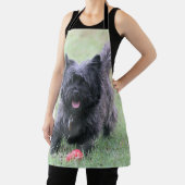 Cairn Schürze (InSitu)