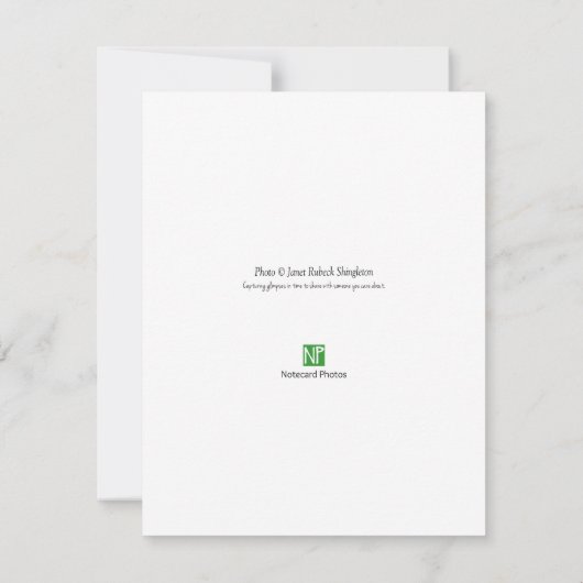 Cairn Stacks Note Card Dankeskarte (Rückseite)