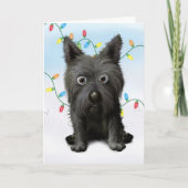 Cairn Terrier 2 Weihnachten (Vorderseite)