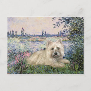 Cairn Terrier 4 - An der Seine Postkarte