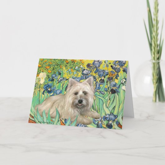 Cairn Terrier 4 - Irische Karte (Vorderseite)