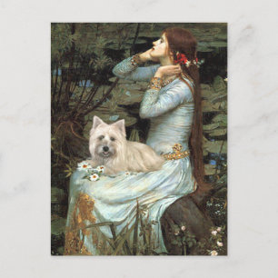 Cairn Terrier 4 - Ophelia Sitzend Postkarte