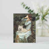 Cairn Terrier 4 - Ophelia Sitzplätze Postkarte (Stehend Vorderseite)