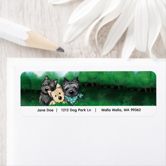 Cairn Terrier-Adresse (Insitu)