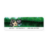Cairn Terrier-Adresse (Vorne)