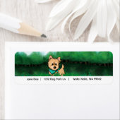 Cairn Terrier Adresse (Insitu)
