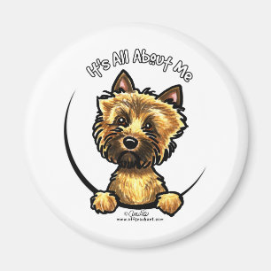 Cairn Terrier alles über mich Magnet